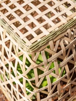 Bamboo Cloche, Set Of 2 18 Bamboo Cloche, Set Of 2 -Outdoor Garden Care Shop 8613351 0154