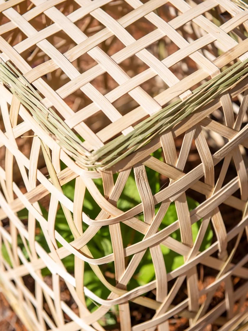 Bamboo Cloche, Set Of 2 9 Bamboo Cloche, Set Of 2 - Image 7