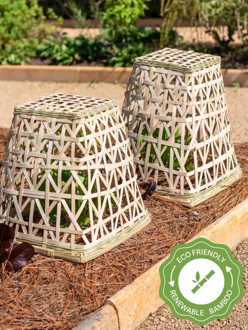 Bamboo Cloche, Set Of 2 3 Bamboo Cloche, Set Of 2