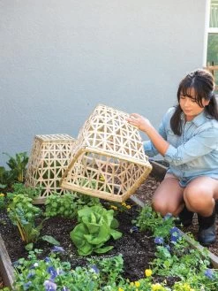 Bamboo Cloche, Set Of 2 15 Bamboo Cloche, Set Of 2 -Outdoor Garden Care Shop 8613351 6862