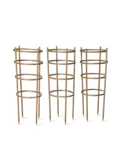 Bamboo Tomato Cages, Set Of 3 -Outdoor Garden Care Shop 8613426 4679 bamboo tomato cages 3