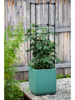 Oasis Self-Watering Tomato Planter With Trellis -Outdoor Garden Care Shop 8613440 0373 3 4
