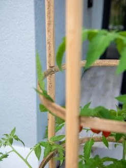 Elevated Bamboo Tomato Planter And Trellis 13 Elevated Bamboo Tomato Planter And Trellis -Outdoor Garden Care Shop 8613502 0423