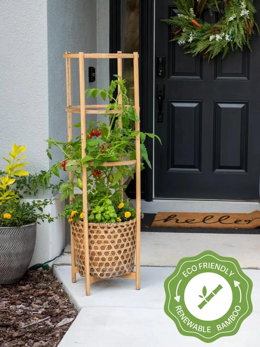 Elevated Bamboo Tomato Planter And Trellis 3 Elevated Bamboo Tomato Planter And Trellis