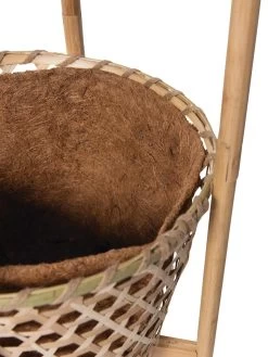 Elevated Bamboo Tomato Planter And Trellis 16 Elevated Bamboo Tomato Planter And Trellis -Outdoor Garden Care Shop 8613502 4685