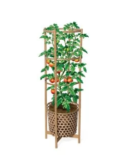 Elevated Bamboo Tomato Planter And Trellis 15 Elevated Bamboo Tomato Planter And Trellis -Outdoor Garden Care Shop 8613502 art flat