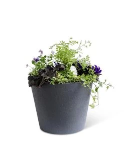 Self-Watering FiberStone Planters -Outdoor Garden Care Shop 8613676 8645