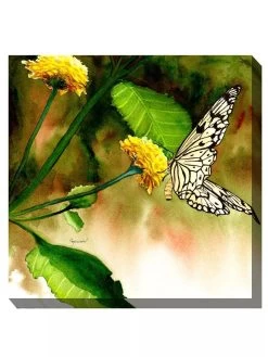 Butterfly Kiss Outdoor Wall Art 7 Butterfly Kiss Outdoor Wall Art -Outdoor Garden Care Shop 8613998 01V 3 4
