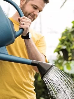 French Blue Watering Can 14 French Blue Watering Can -Outdoor Garden Care Shop ChrisAhrensSquare 0118 tif