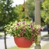 Self-Watering Hanging Basket -Outdoor Garden Care Shop GS34368 10 tif