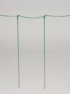 Curved Linking Stakes -Outdoor Garden Care Shop GS35241 04S tif