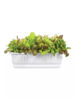 31" Self-Watering Window Box -Outdoor Garden Care Shop GS36523 01Z 3 4