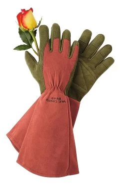 Rose Gloves -Outdoor Garden Care Shop GS36874 01Z tif