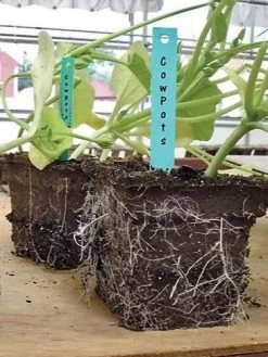 2-3/4" Square Cowpots 6-Packs, Set Of 4 -Outdoor Garden Care Shop GS37034 05