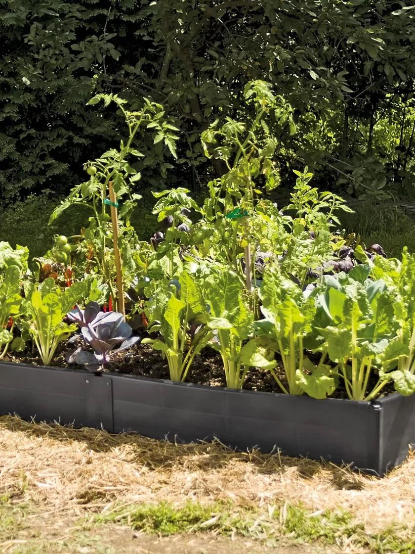 Grow Bed Extension Kit 4 Grow Bed Extension Kit - Image 2