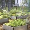 Sustainable Raised Beds -Outdoor Garden Care Shop GS38653 02 tif