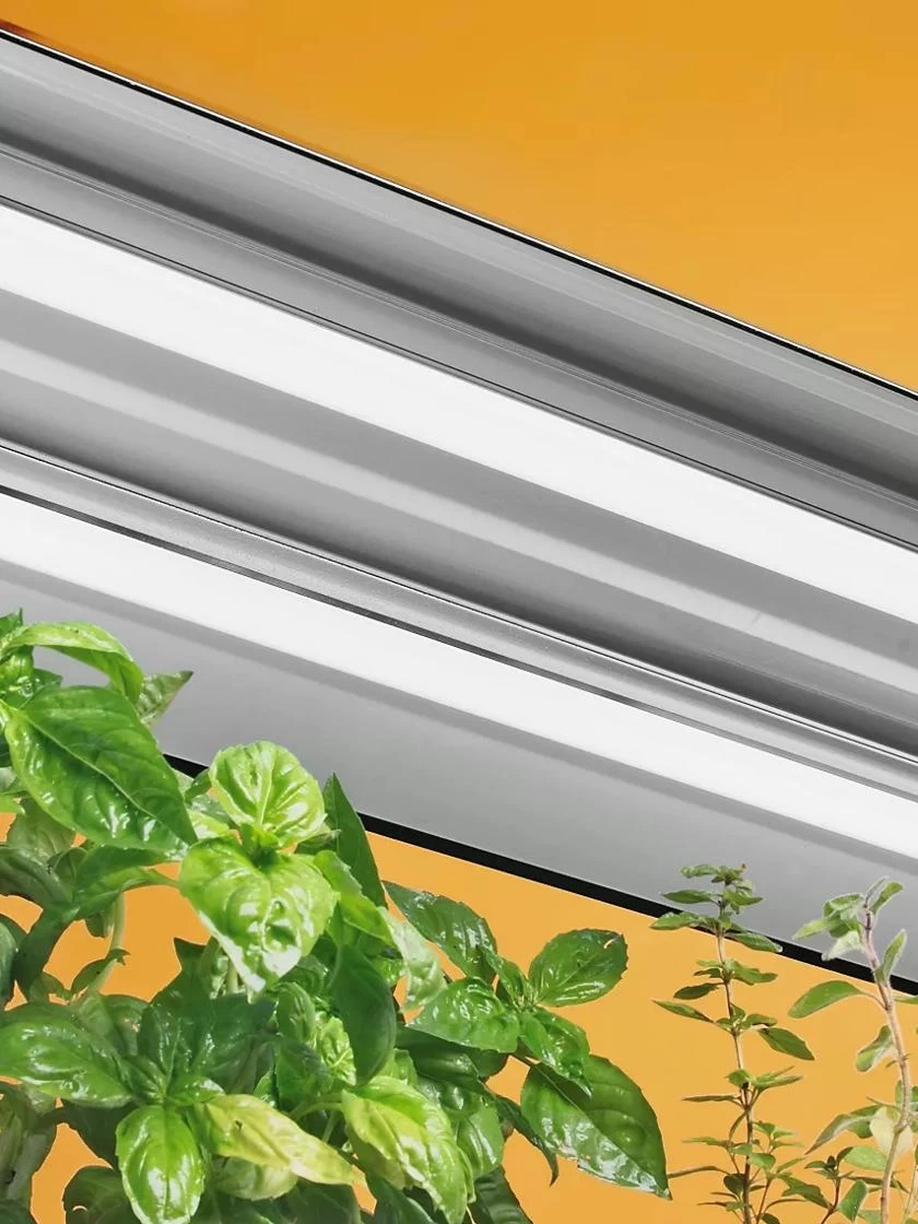 T5 Light Fixture 3 T5 Light Fixture