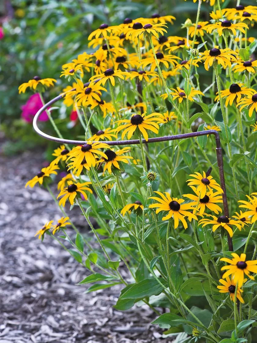 Jardin Half-Round Plant Supports, Set Of 2 3 Jardin Half-Round Plant Supports, Set Of 2