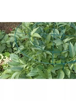 Grow Through Supports, Set Of 3 -Outdoor Garden Care Shop GS40172 01 1