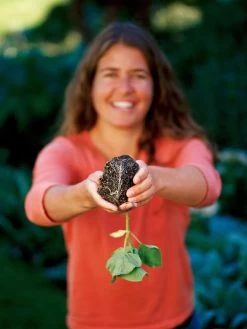 Deep Root Seedstarting System, Black -Outdoor Garden Care Shop GSCOVSPR06D2 01