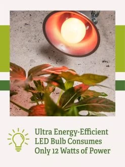 Miracle LED® Absolute Daylight™ Max Flowering Grow Light Bulb -Outdoor Garden Care Shop Miracle Daylight Bulb 2