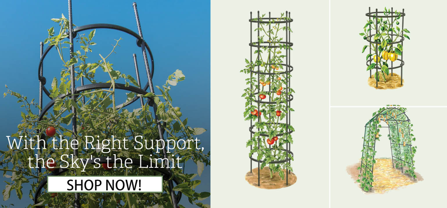 Outdoor Garden Care Shop -Outdoor Garden Care Shop RTYURTU