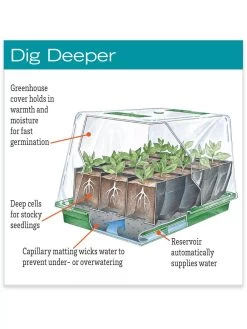 Deep Root Seedstarting System, Black -Outdoor Garden Care Shop hiw 35 457 jpg
