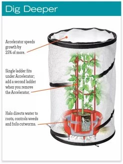 Tomato TLC Kits, Set Of 3 -Outdoor Garden Care Shop hiw 8594214 jpg