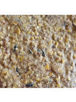 Woodpecker Almond Suet, 11.75 OZ, 12 Pack -Outdoor Garden Care Shop webimage 8613691 04V